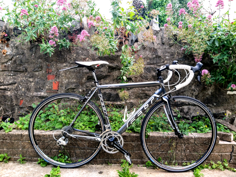 felt f95 for sale